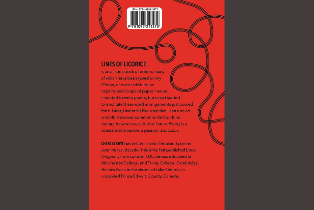 red book back cover with black text and swirling black lines