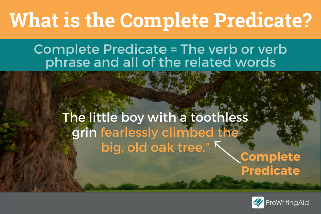 The definition of a complete predicate