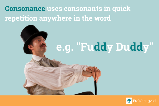 consonance example; fuddy duddy