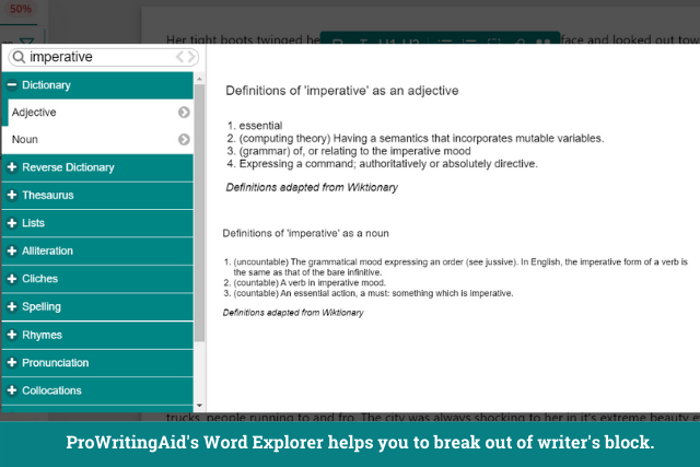 Screenshot of ProWritingAid's word explorer