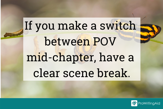 Switching point of view in a chapter