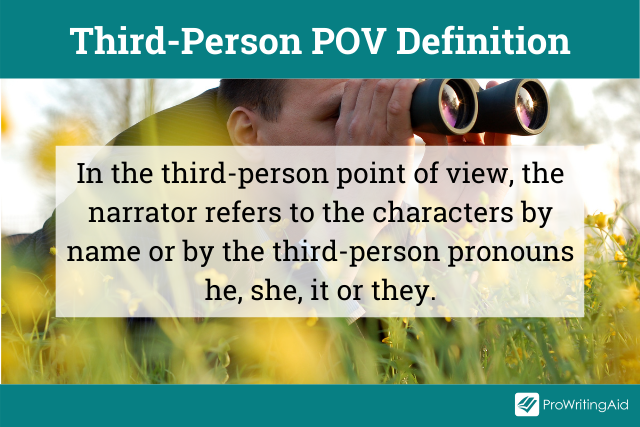 Definition of the third-person point of view